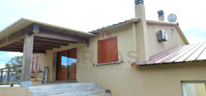 Esclusiva Azienda Vitinicola a Berchidda