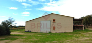 Esclusiva Azienda Vitinicola a Berchidda