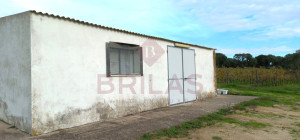 Esclusiva Azienda Vitinicola a Berchidda