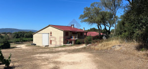 Esclusiva Azienda Vitinicola a Berchidda